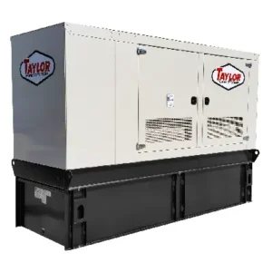 Image of Taylor 125kW Standby Diesel Generator TD125