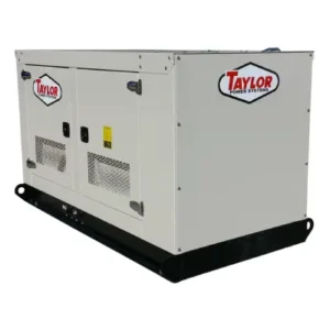 Image of Taylor 40kW Natural Gas/LP Powered Standby Generators TG40