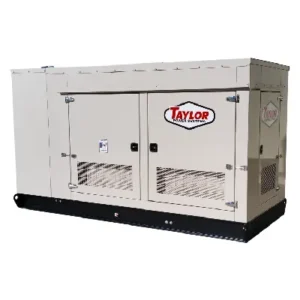 Image of Taylor 80kW Natural Gas/LP Powered Standby Generators TG80