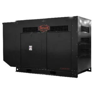 Image of Taylor Natural Gas/LP Powered Standby Generator TGS100